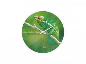 Часы настенные Nicole Time NT503 в Светлом - svetlyj.mebel-nsk.ru | фото